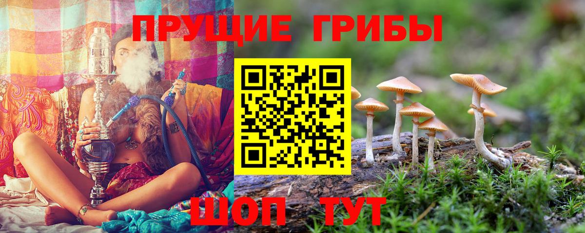 Псилоцибиновые грибы Magic Shrooms  Вход с VPN  Псилоцибиновые грибы Cubensis  Богданович 